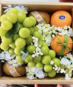 Giỏ trái cây 300k Ms3013