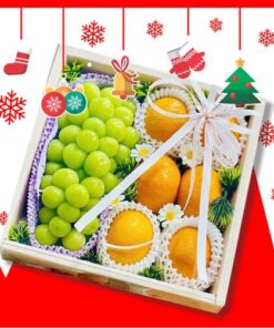 Giỏ Trái Cây 300k Ms3002