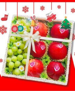 Giỏ trái cây 300k Ms3003