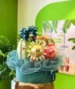 Giỏ trái cây 1 triệu TPHCM Ms1020