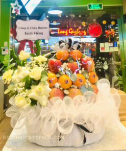 Giỏ trái cây 1 triệu TPHCM Ms1021