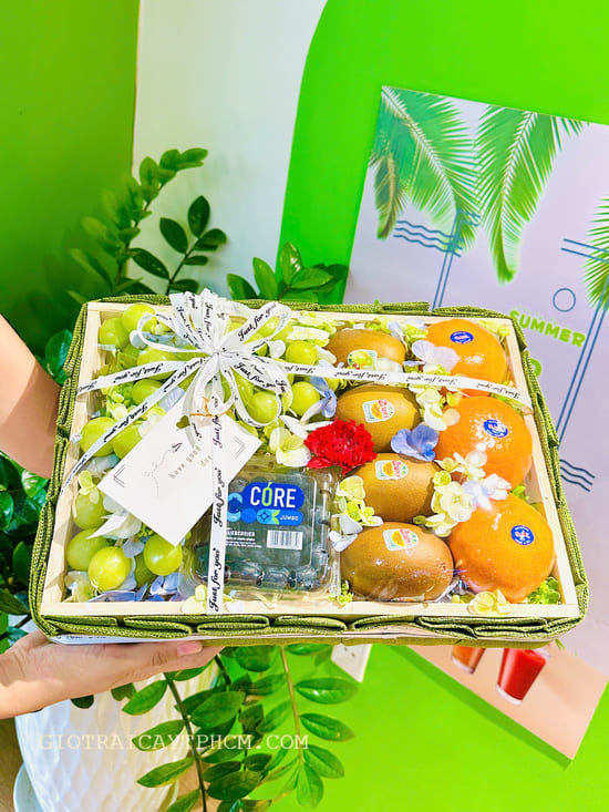 Giỏ trái cây 1 Triệu TPHCM Ms1018