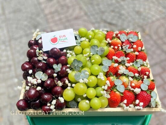 Giỏ trái cây 1tr5 TPHCM Ms1036