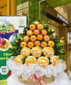 Giỏ trái cây 1tr7 TPHCM Ms1016