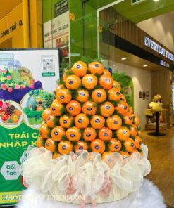 Giỏ trái cây 1tr8 TPHCM Ms1017