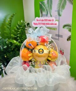 Giỏ trái cây 500k TPHCM Ms5055