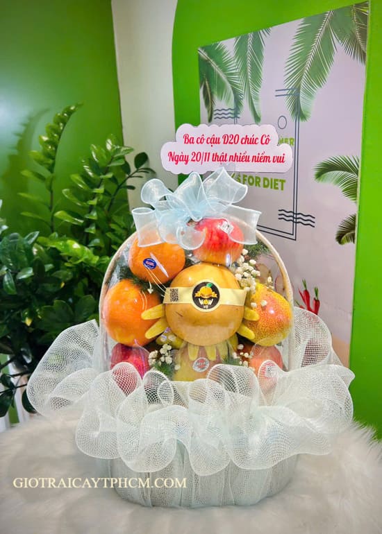 Giỏ trái cây 500k TPHCM Ms5055